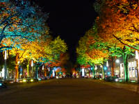 Festival of Lights 2009 (43 Bilder)