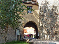 48h Fläming 2010: Raben, Burg Rabenstein mit Greifenschau (67 Bilder)