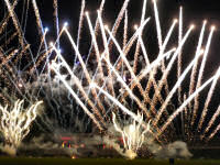 Pyronale 2010 (25 Bilder, 2 Videos)