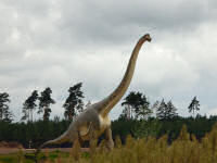 Tierparkfest im Tierpark Germendorf (51 Bilder)