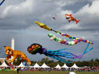 Festival der Riesendrachen auf dem Tempelhofer Feld am 22. September 2012 (40 Bilder)