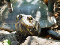 BVG-Kinderparty im Tierpark Berlin am 14.9.2013 (40 Bilder)